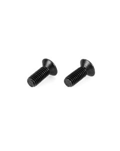 Airsoft Pro M4 series Grip Back Motor Plate Screws (2pcs) 3030700066